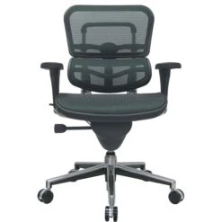 Raynor Eurotech Ergo Human Mesh Mid Back Task Chair, Green -Popular Furniture s0790405 s7