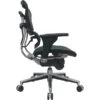 Raynor Eurotech Ergo Human Mesh Mid Back Task Chair, Green