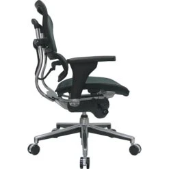 Raynor Eurotech Ergo Human Mesh Mid Back Task Chair, Green