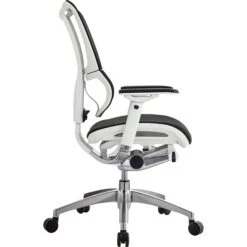 Raynor Eurotech IOO Series Mid-Back Managers Chair, Mesh, Black With White Frame -Popular Furniture s0912633 s7