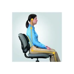 Fellowes Professional Back Support, Black (8037601) -Popular Furniture sp44851229 s7